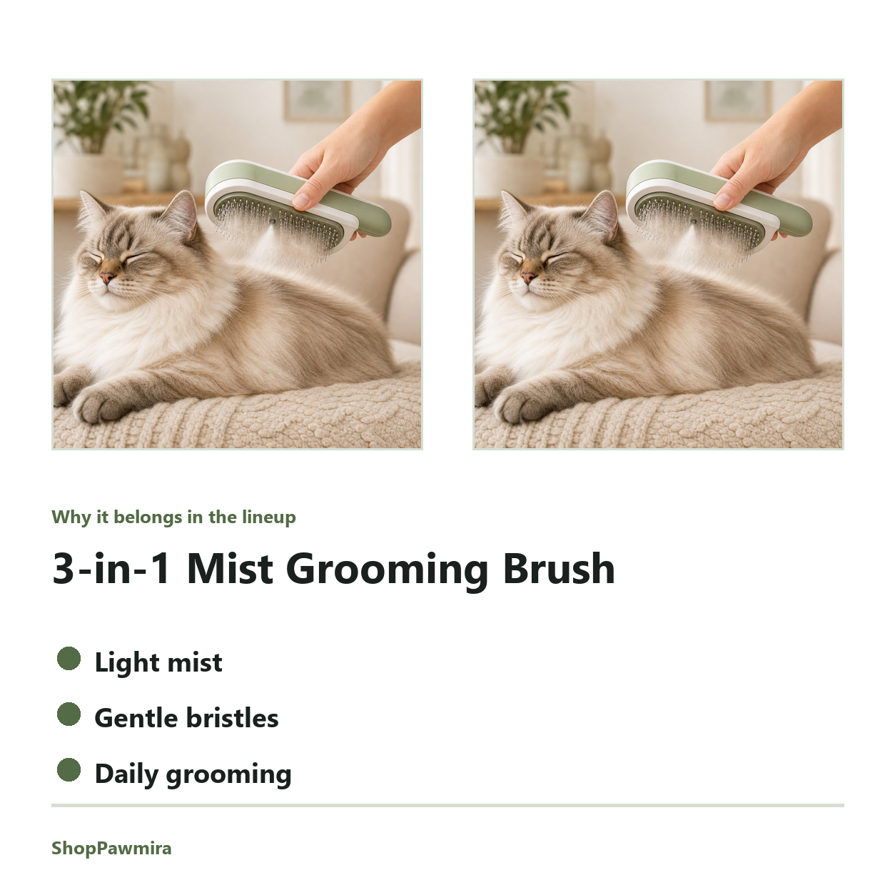 3-in-1 Mist Grooming Brush feature detail image