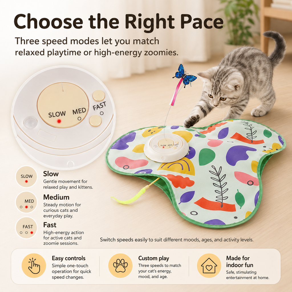 Cat play mat with 3 speed modes - slow, medium, fast control panel for indoor cats