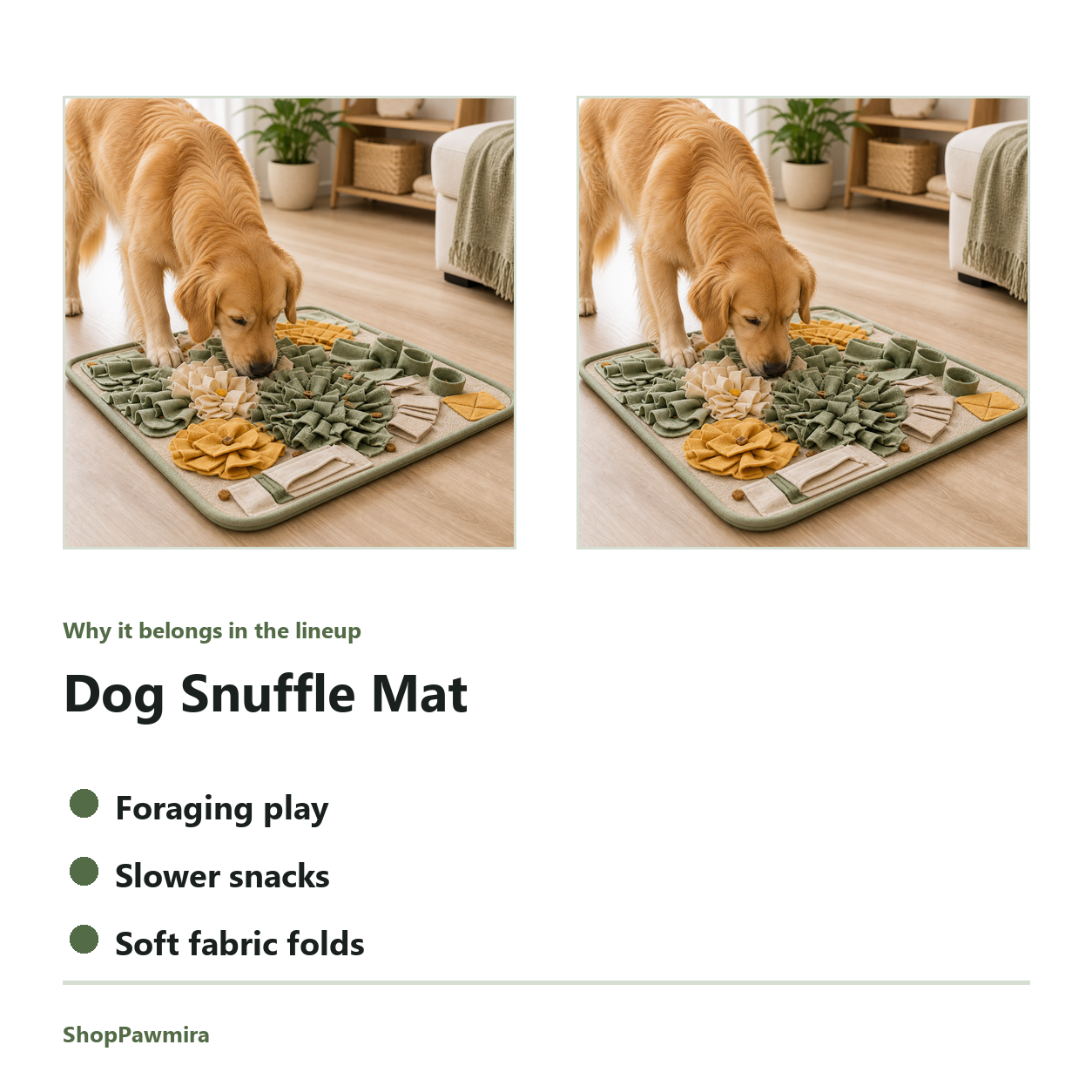 Dog Snuffle Mat feature detail image