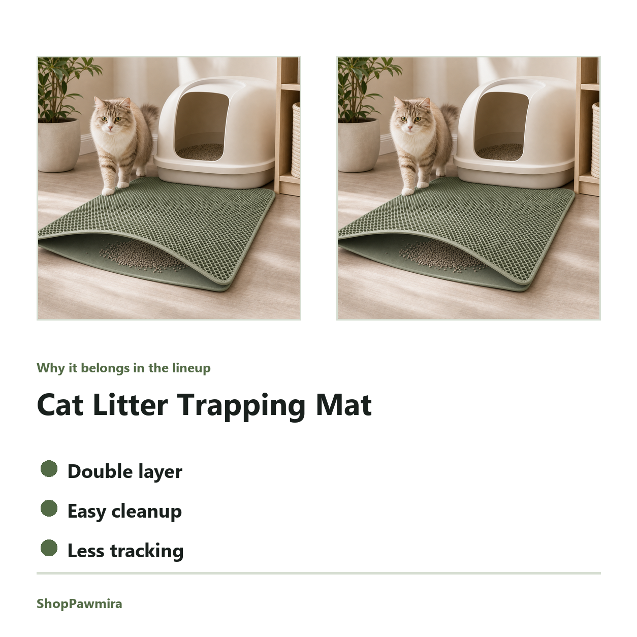 Cat Litter Trapping Mat feature detail image