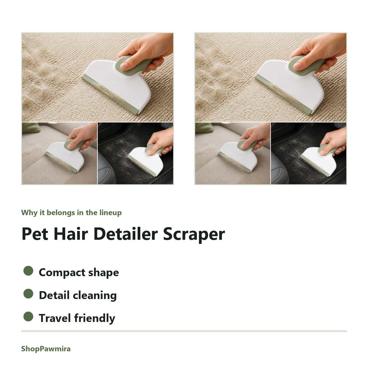 Pet Hair Detailer Scraper feature detail image