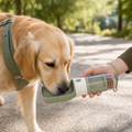 Portable dog water bottle with treat compartment outdoors
