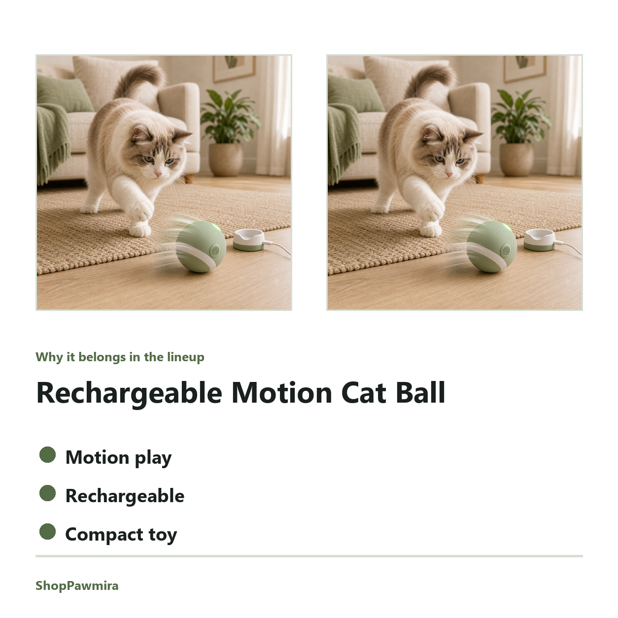 Rechargeable Motion Cat Ball feature detail image