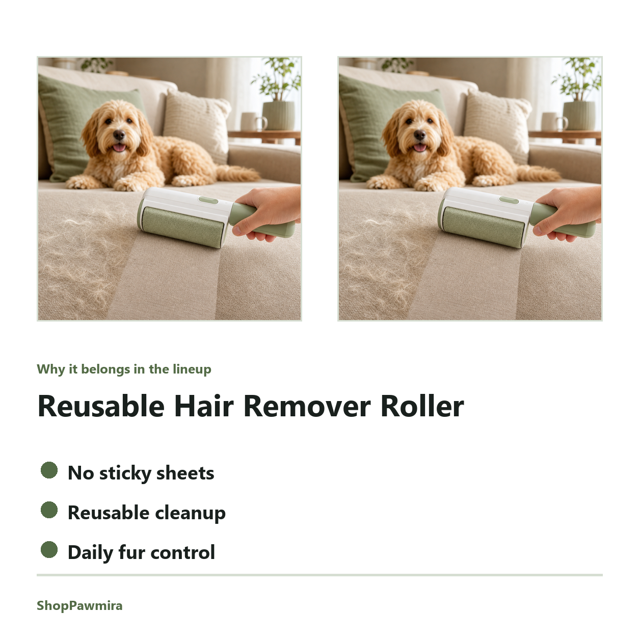 Reusable Hair Remover Roller feature detail image